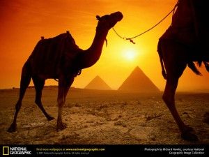 туры в египет из одессы